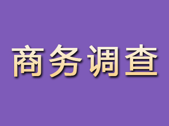 新野商务调查